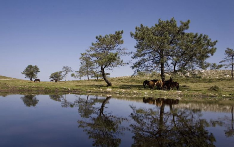 La Xunta tumba el mayor parque eólico que amenazaba a Serra da Groba en Baiona