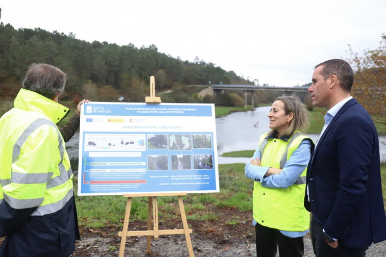 Los Next Generation transformarán la ribera del Umia con la reforestación de 7.000 árboles