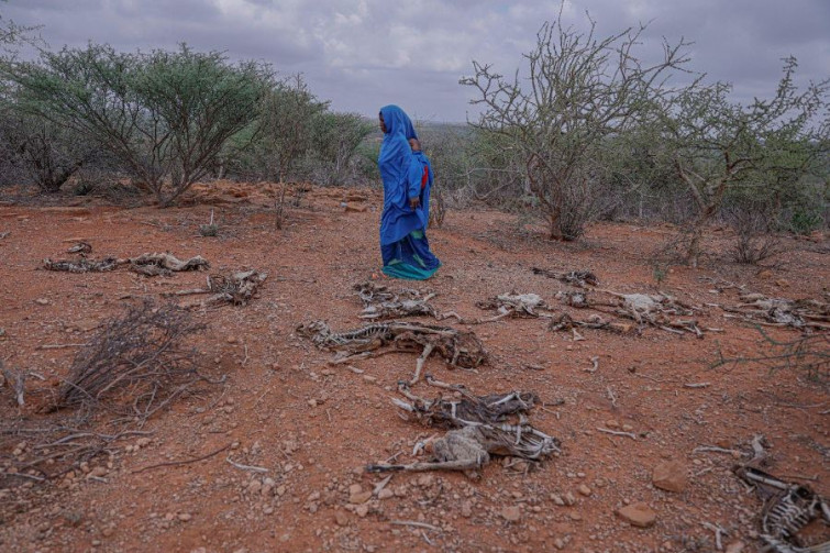 La emergencia climática provoca que se multipliquen los “desplazados climáticos”