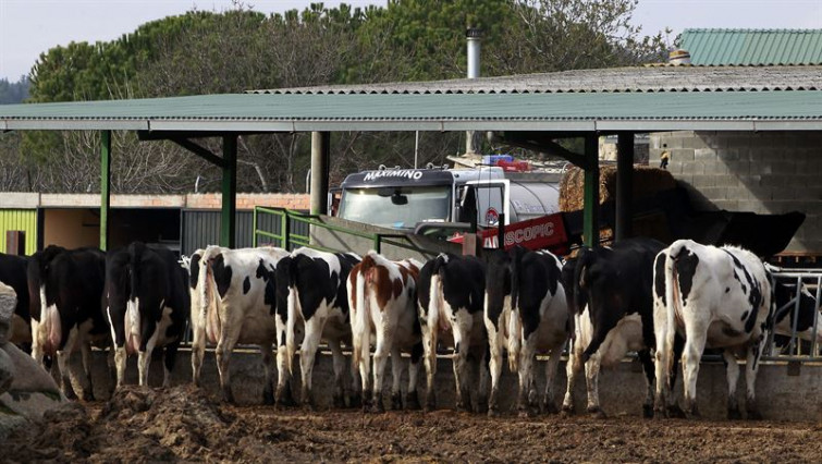 ​Unións Agrarias pide un plan financeiro 