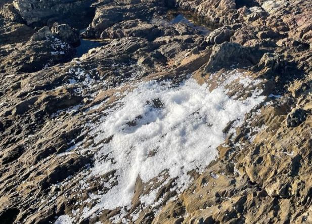 Millones de pellets de plástico siguen llegando al Parque Natural de Corrubedo y otras playas (vídeo)