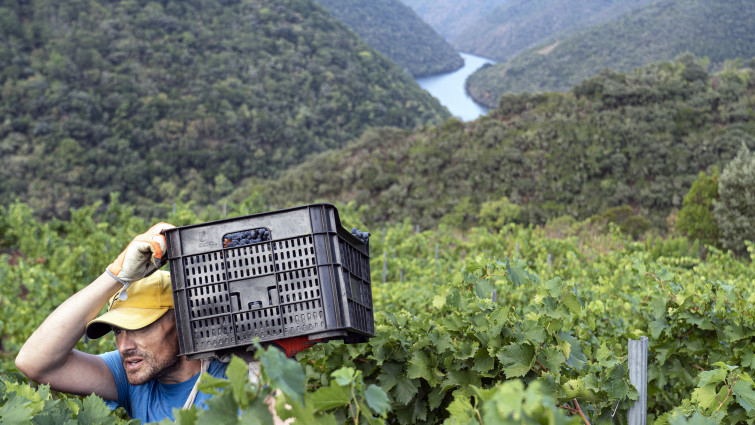 Protesta de los viticultores de la Ribeira Sacra este domingo ante el retiro de Rueda y sus conselleiros en Sober