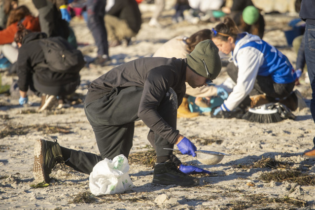 Archivo - Varios voluntarios recogen pellets en la playa de Panxón, a 11 de enero de 2024, en Pontevedra, Galicia (España). La Xunta de Galicia ha publicado una serie de protocolos de actuación para la recogida de los pellets de la costa gallega, tanto pa