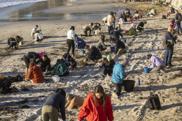 Archivo - Varios voluntarios recogen pélets en la playa de Panxón, a 11 de enero de 2024, en Pontevedra, Galicia (España).