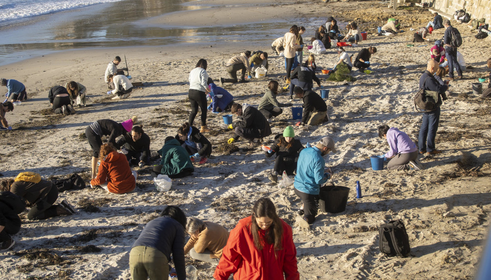 Archivo - Varios voluntarios recogen pélets en la playa de Panxón, a 11 de enero de 2024, en Pontevedra, Galicia (España).