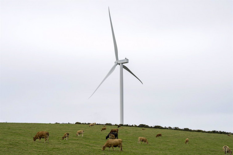 Empresa gallega producirá una pala de aerogenerador reciclable para los parques eólicos