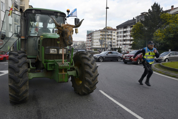 El Entroido provoca la marcha de la tractorada de ganaderos en Ourense