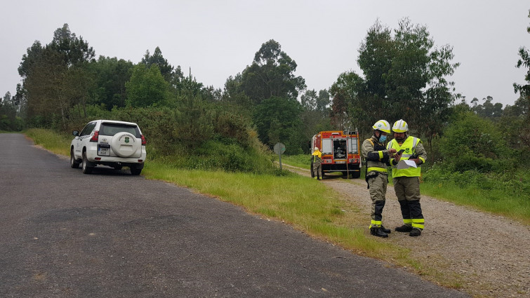 Ingenieros forestales, hartos de la Xunta: sin plaza dos años después de aprobar las oposiciones