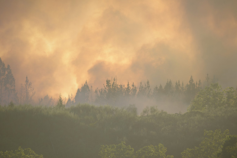 Ecologistas piden medios y formación en justicia para aplicar la nueva ley ambiental europea