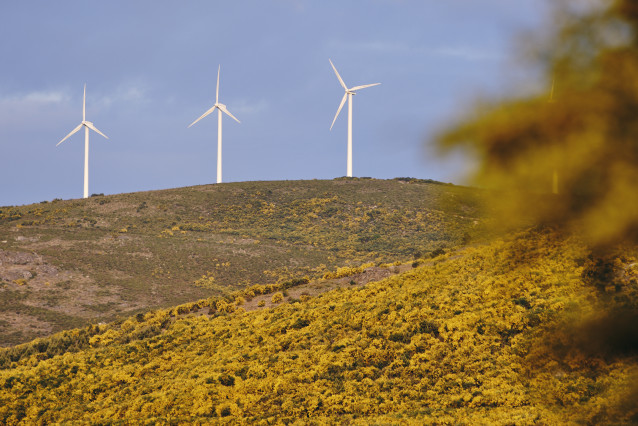 Archivo - Aerogeneradores en el parque eólico de Serra do Larouco, a 31 de mayo de 2023, en Esgos, Ourense, Galicia (España). El mercado transaccional en el sector de las energías renovables en España ha registrado en los cuatro primeros meses del año un