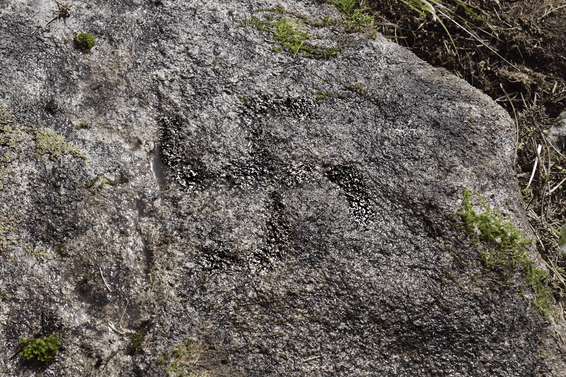 Tetraskel en Monte Acibal