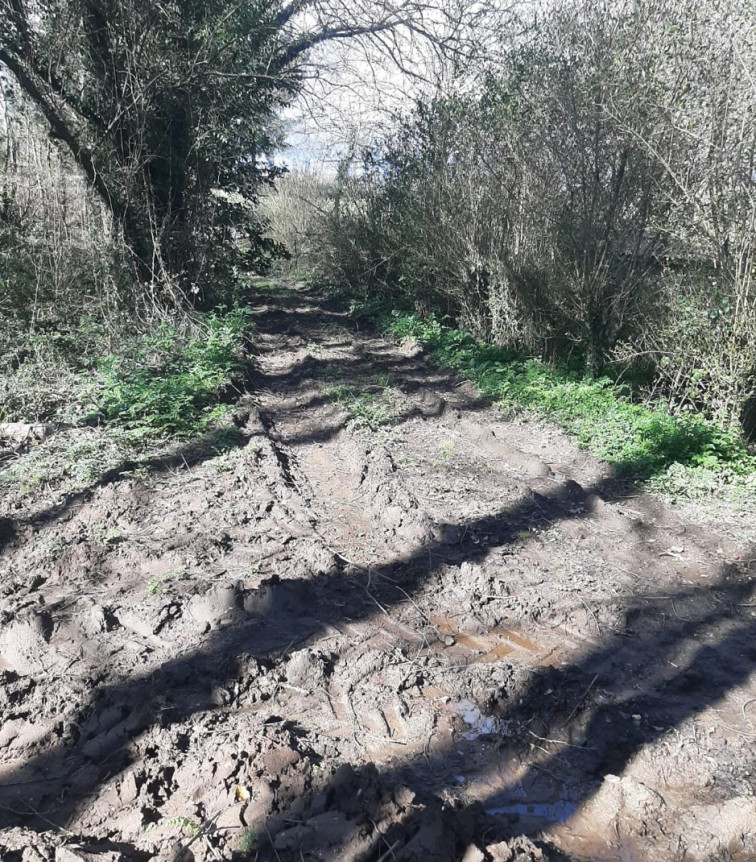 El Ayuntamiento de Miño denuncia que una tala causa daños en la Fraga dos Muíños del río Xarío