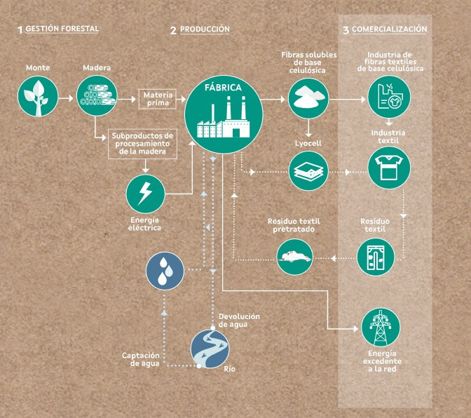 Web de Greenfiber sobre la fábrica de Altri