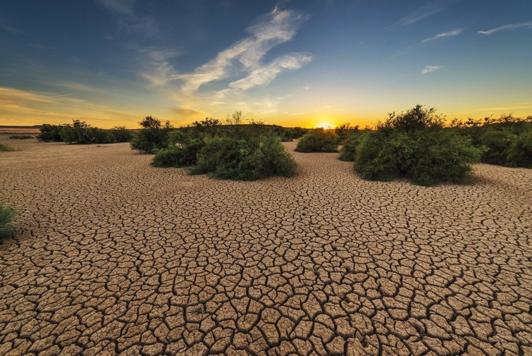 El cambio climático, un mazazo para la economía global con consecuencias insospechadas