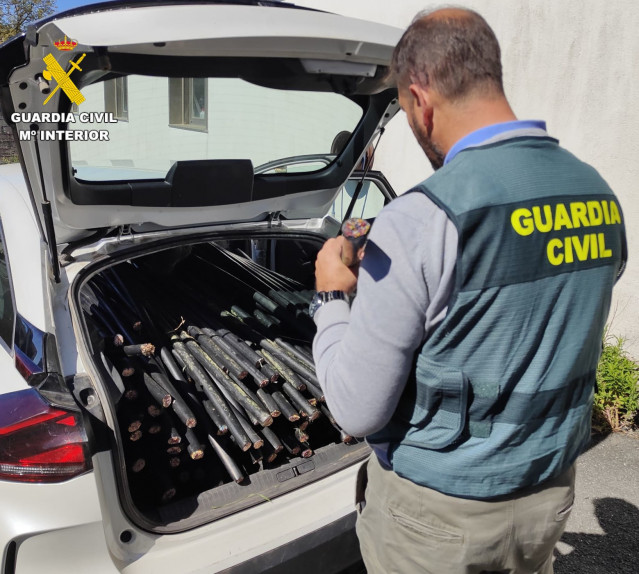 Detenidos 10 varones como presuntos autores de 13 delitos de robo, 1 delito de estragos, 1 delito de pertenencia a grupo criminal en la fase de explotación de la operación Copperberry.