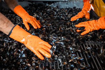 Archivo - Pesca de mejillones, a 2 de septiembre, en Pontevedra