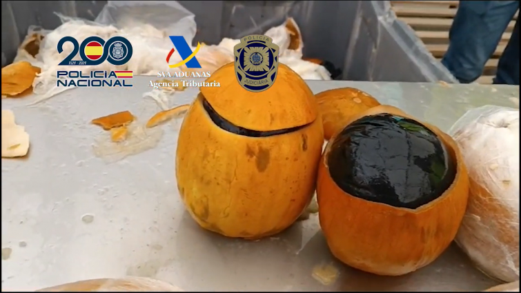 (VÍDEO) Casi 500 kilos de cocaína ocultos dentro de melones intervenidos en el puerto de Vigo