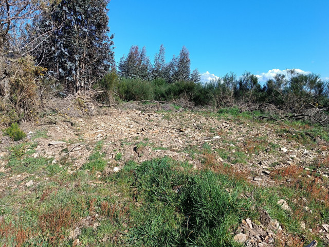 Movimiento de tierras en la ubicación de la Medorra da Seara do Campelín.