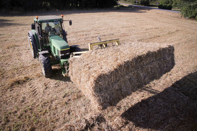 Archivo - Un tractor durante la recogida de trigo en la parroquia de Calvo, a 31 de julio de 2023, en Abadin, Lugo, Galicia (España). El sector ganadero prevé un aumento de los costes de piensos y forrajes los próximos meses, debido a que España enfrenta