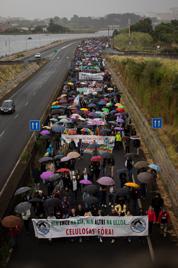 Miles de personas claman en Pontevedra contra las celulosas: 