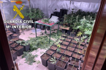 Plantación de marihuana en una vivienda de Mos (Pontevedra)
