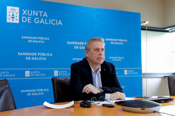 El conselleiro de Sanidade, Antonio Gómez Caamaño, en la reunión del Consejo Interterritorial del Sistema Nacional de Salud (CISNS).