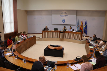 Comisión 5ª, de Sanidade, Política Social e Emprego del Parlamento gallego.