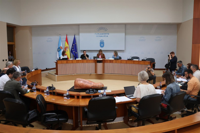 Comisión 6ª, de Industria, Enerxía, Comercio e Turismo del Parlamento gallego.