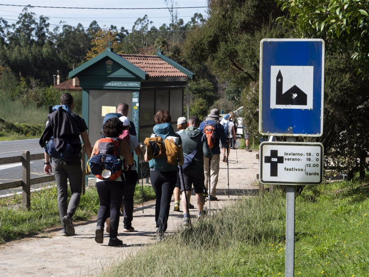 ¿Una plaga de chinches en Compostela? Hosteleros de Santiago denuncian su llegada con los peregrinos