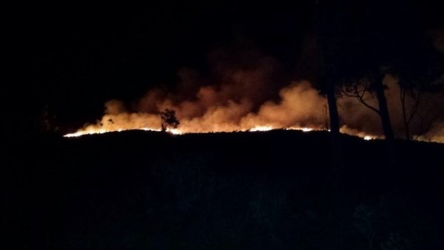 ​Activo un incendio forestal en Santiago