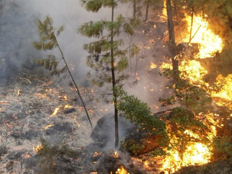 Expertos en monte vecinal pintan un escenario futuro 