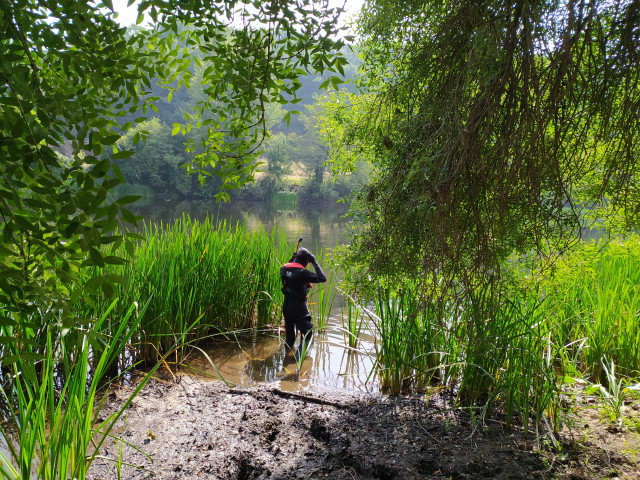 Un buceador se dispone a sumergirse en las aguas del río Miño a la altura del caneiro de Aceña de Olga, en Lugo, el lugar en donde este lunes han comenzado los trabajos de traslocación de bivalvos protegidos. En Lugo, a 29 de julio de 2024.