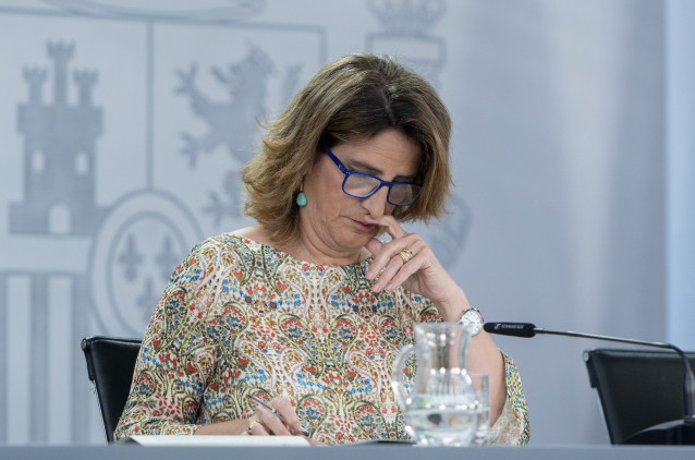 La vicepresidenta tercera y ministra para la Transición Ecológica y el Reto Demográfico, Teresa Ribera, durante una rueda de prensa posterior a la reunión del Consejo de Ministros, en el Palacio de la Moncloa, a 9 de julio de 2024, en Madrid (España). El