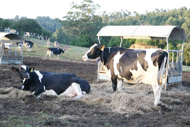 ​UUAA denuncia a Lactalis para que se paralice su nuevo contrato a la baja