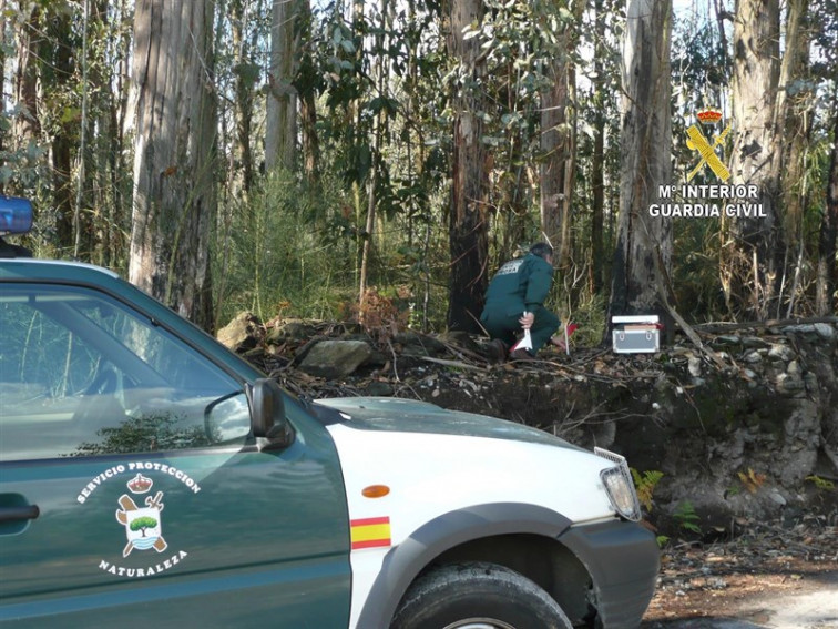 El SEPRONA prende a un hombre por prender cinco fuegos en Ferrolterra en hora y media