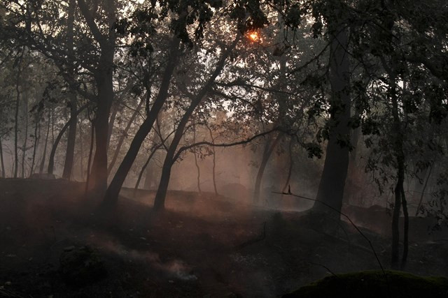 A onda incendiaria calma a súa voracidade