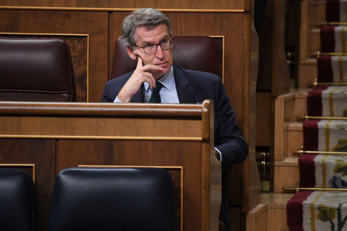 El presidente del Partido Popular, Alberto Núñez Feijóo, durante una sesión plenaria extraordinaria.