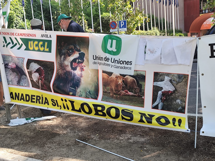 Unión de Uniones (FRUGA) advierte de tractoradas si no hay más medidas contra los ataques del lobo