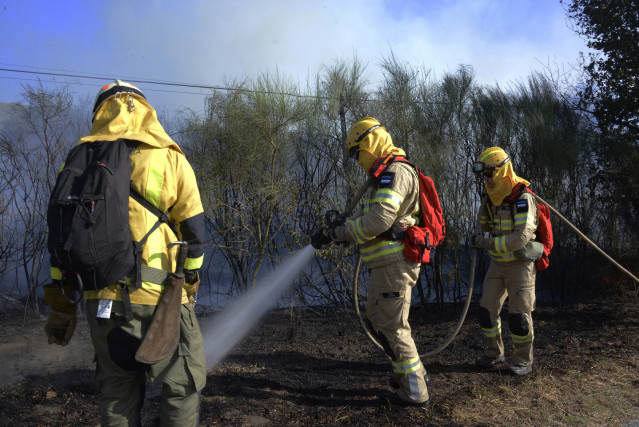 Varios bomberos tratan de apagar el fuego durante el incendio forestal en la parroquia de Oseira, a 20 de agosto de 2024, en San Cristovo de Cea, Ourense