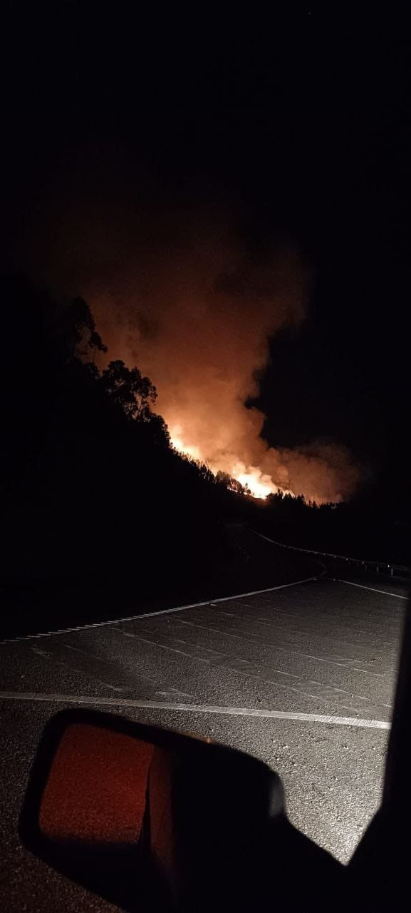 Arden 30 hectáreas en un incendio forestal en Crecente esta noche que la Xunta da por controlado