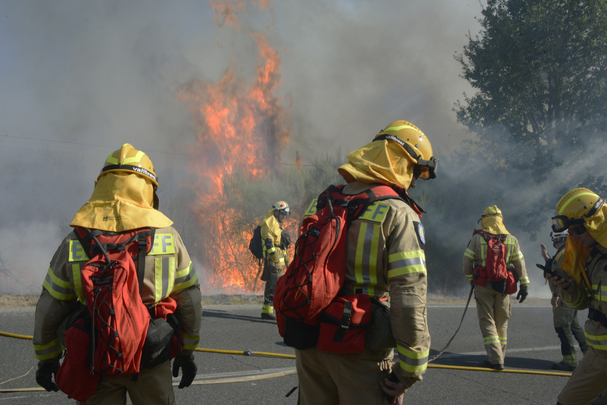 Varios bomberos tratan de apagar el fuego durante el incendio forestal en la parroquia de Oseira, a 20 de agosto de 2024, en San Cristovo de Cea, Ourense, Galicia (España).