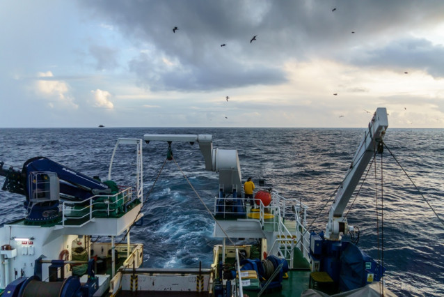 Archivo - Científicos del IEO observan un ave antártica en aguas del Atlántico Norte