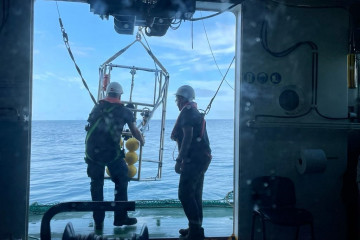 El IEO estimará la abundancia de cigala en Galicia a través de la toma de imágenes submarinas y muestreos.