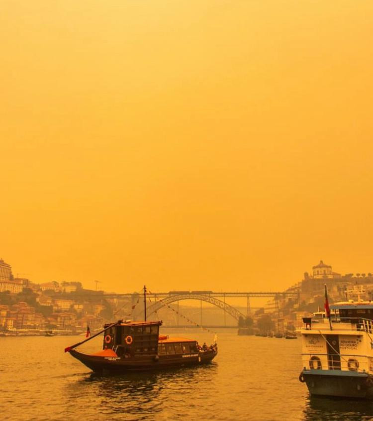 Paraíso no Porto na quarta-feira