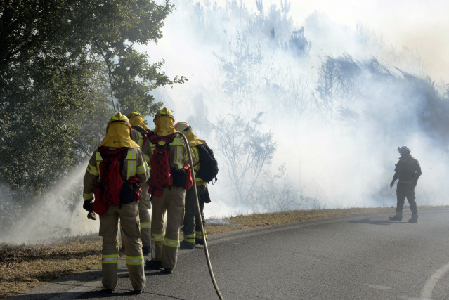 Archivo - Varios bomberos tratan de apagar el fuego durante el incendio forestal en la parroquia de Oseira, a 20 de agosto de 2024, en San Cristovo de Cea, Ourense, Galicia (España). Las llamas, que se iniciaron sobre las 16.30 horas, han calcinado una su