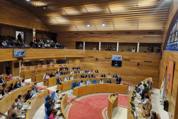 Archivo - Pleno del Parlamento de Galicia del 29 de mayo de 2024.