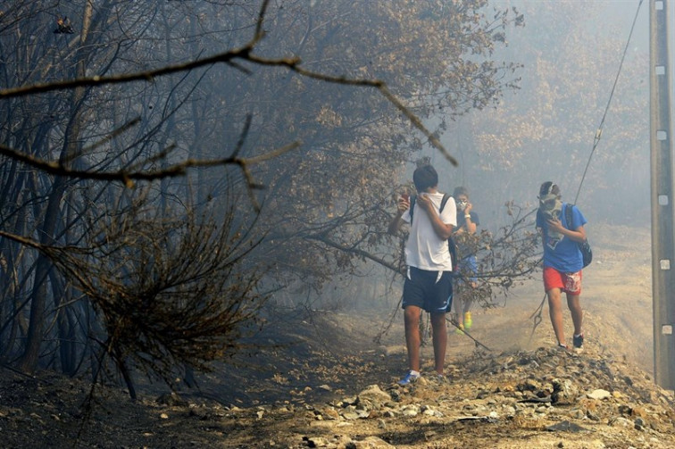 ​La oposición, contra la política forestal de Feijóo