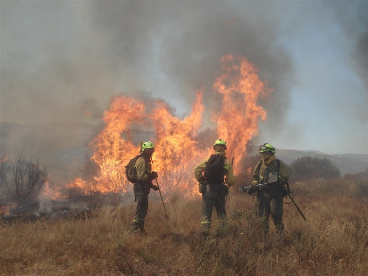 Medio Rural condenada por encadenarle 14 años de contratos temporales a una brigadista forestal de Monforte