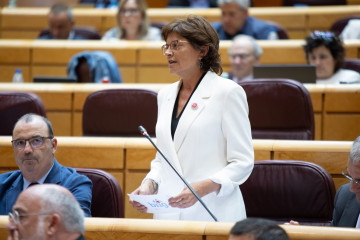 La senadora del BNG, Carme da Silva