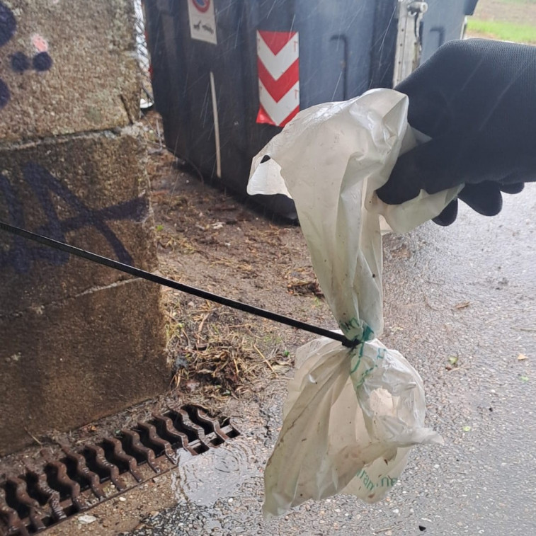 ¿Quién tiró un gato a la basura dentro de una bolsa? El Concello de Redondela busca a los responsables